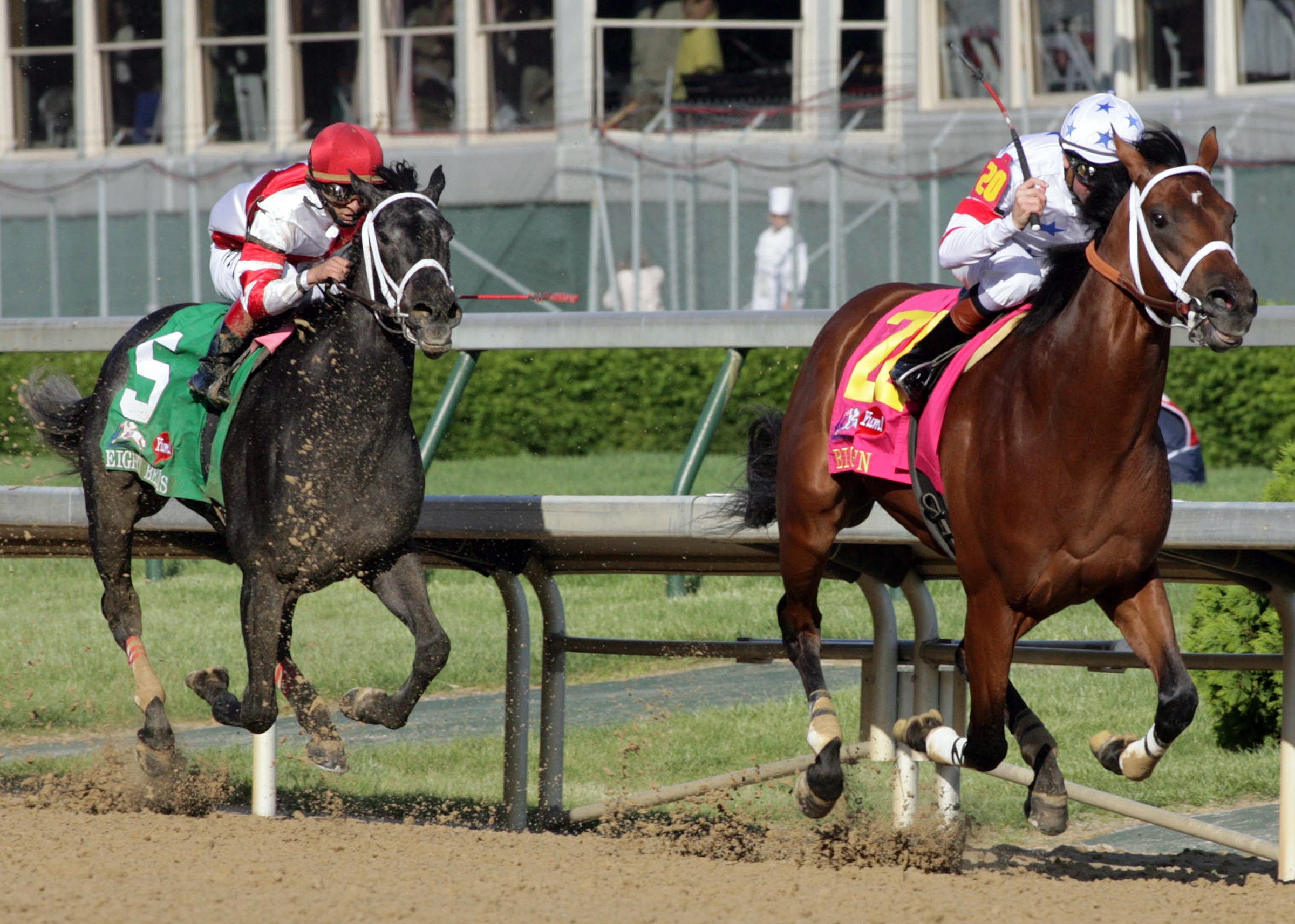 Kentucky Derby fillies as broodmares